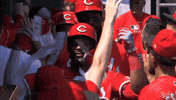 Baseball Mlb GIF by Cincinnati Reds