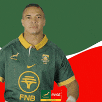 Springboks Bokke GIF by The Coca-Cola Company Africa