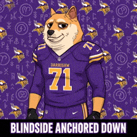 Minnesota Vikings Football GIF by Doge Pound
