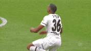 Sankt Pauli Fcsp GIF by FC St. Pauli