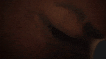 Loop Eye GIF by Xbox