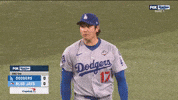 Celebrate World Series GIF by MLB