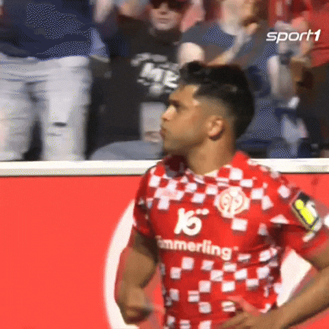 Mainz 05 Football GIF by SPORT1