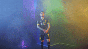 Meow Wolf Home Kit GIF by New Mexico United