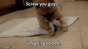 hours GIF