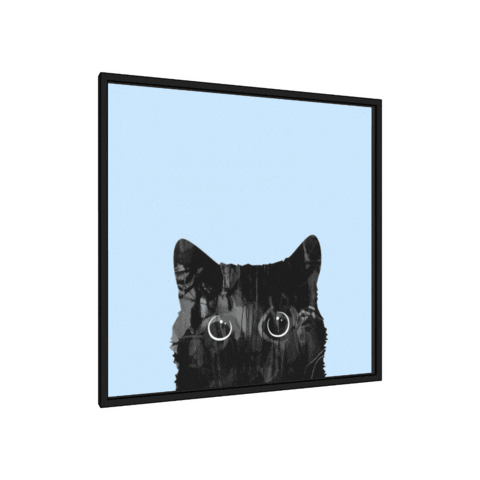 SketchUp cat design 3d creative Sticker