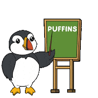 School Learn Sticker by Puffins