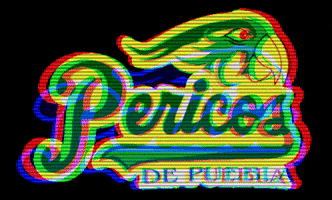 puebla pericos GIF by Liga Mexicana de Beisbol