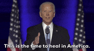 Joe Biden GIF by Election 2020