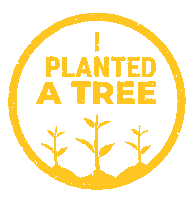 onetreeplanted patd sapling onetreeplanted one tree planted Sticker