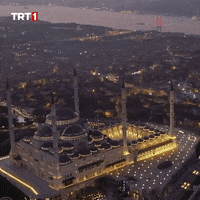 Night Lights GIF by TRT