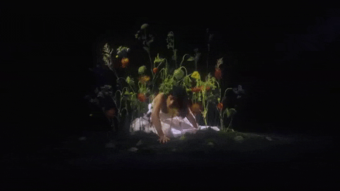 Free GIF by Raissa