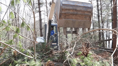 Chris Burns Chainsaw GIF by JC Property Professionals