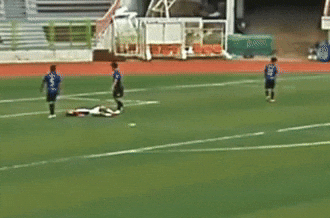 qwerpoiu22ppop giphyupload GIF