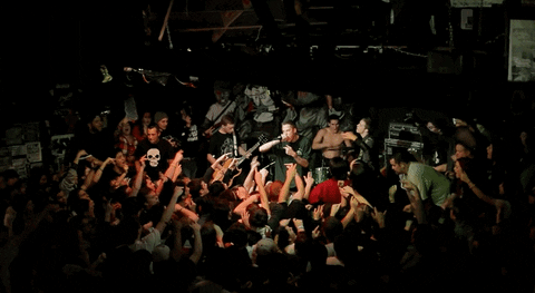 Roam The Story So Far GIF by Pure Noise Records