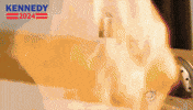 News Know GIF by Team Kennedy