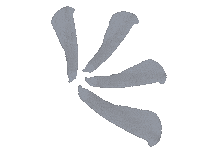 Flower Petal Sticker