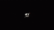 Tier 1 Tierone GIF by Tier One Entertainment
