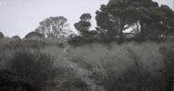 Music Video Rock GIF by Pure Noise Records