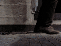 Evil Dead Horror GIF by Coolidge Corner Theatre