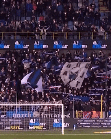 Fans GIF by Club Brugge