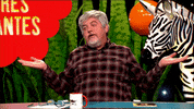 Ilustres Ignorantes GIF by Movistar+