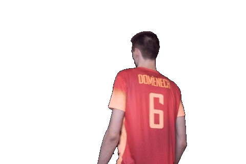 Volleyball Joan Domenech Sticker by RedLynxes