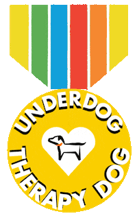UnderdogInternational dog rainbow dogs puppy Sticker