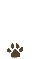 nuggiepawshopcorp dog rainbow dogs paw Sticker