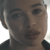 Cobweb Antonystarr GIF by Lionsgate
