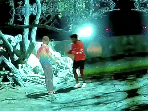 Dominic Fike Lil Nas X GIF by BROCKHAMPTON