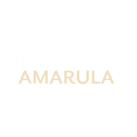 Momento Amarula Sticker by Amarula Brasil