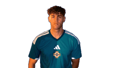 Silence Ssh Sticker by Northern Ireland