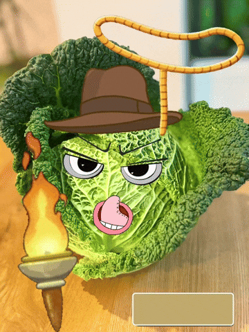 Adventure Indiana GIF