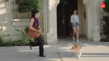 Corgi Leap