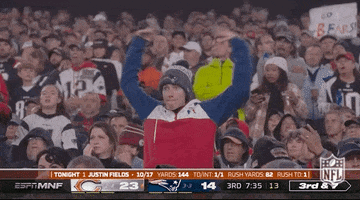 New England Patriots Football GIF by NFL
