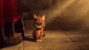 puss in boots cat GIF