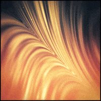 orange gif artist GIF by Erica Anderson