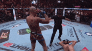 Alex Pereira Sport GIF by UFC