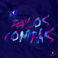 pal norte cerveza GIF