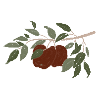 victoriacodesign fall apple autumn fruit Sticker