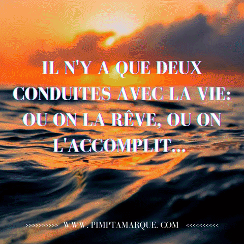 Canada Vie GIF by PIMP TA MARQUE