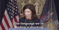Supreme Court GIF by GIPHY News