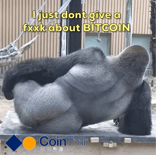 bitcoin gorilla GIF by CoinTmr