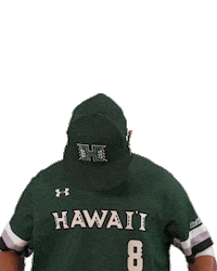 College Baseball Sticker by Hawaii Athletics