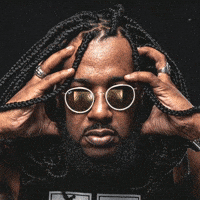 Djkingbr GIF