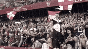 vamos come on GIF by Sevilla Fútbol Club