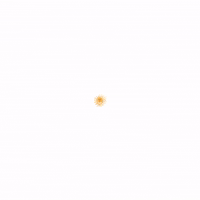 Vamos Argentina World Cup GIF by SportsManias