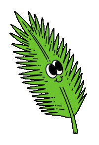 harmlessharvest palm palmtree coconutwater harmlessharvest Sticker