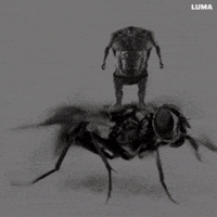 Fly Giga GIF by Gigachad